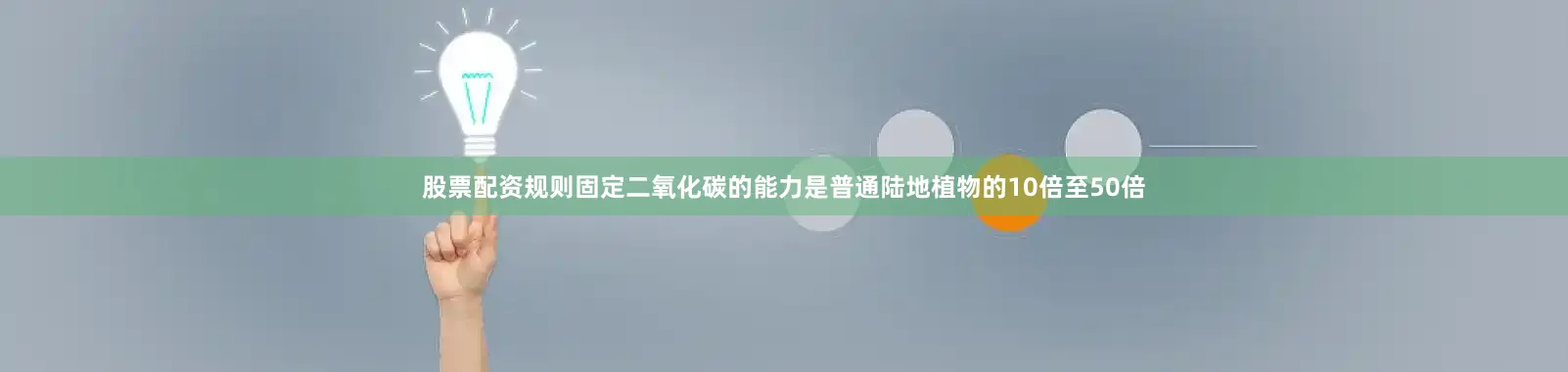股票配资规则固定二氧化碳的能力是普通陆地植物的10倍至50倍