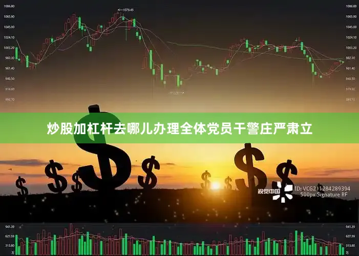 炒股加杠杆去哪儿办理全体党员干警庄严肃立