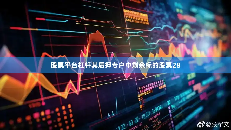 股票平台杠杆其质押专户中剩余标的股票28