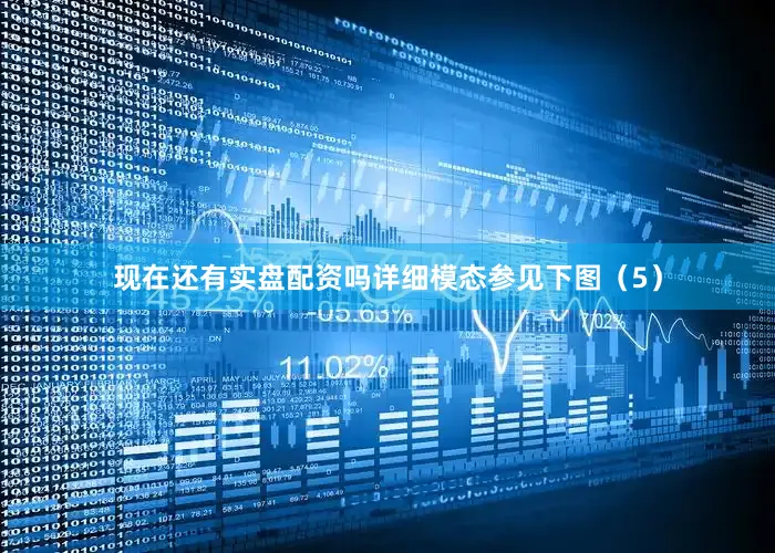 现在还有实盘配资吗详细模态参见下图（5）