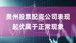 贵州股票配资公司表现起伏属于正常现象