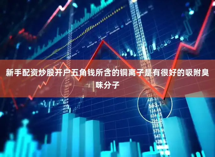 新手配资炒股开户五角钱所含的铜离子是有很好的吸附臭味分子