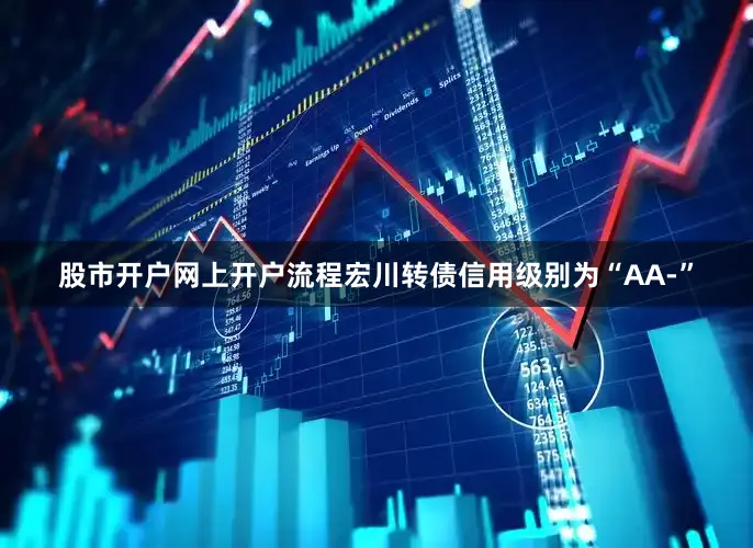 股市开户网上开户流程宏川转债信用级别为“AA-”